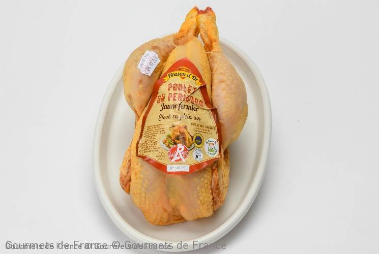 poulet jaune fermier label rouge
