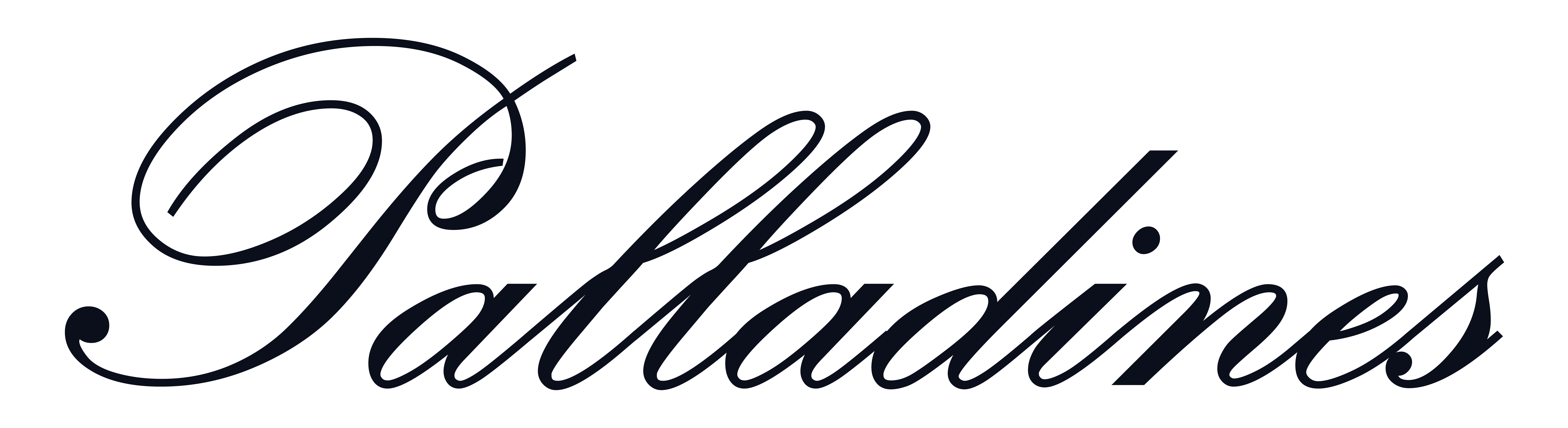 Palladines logo