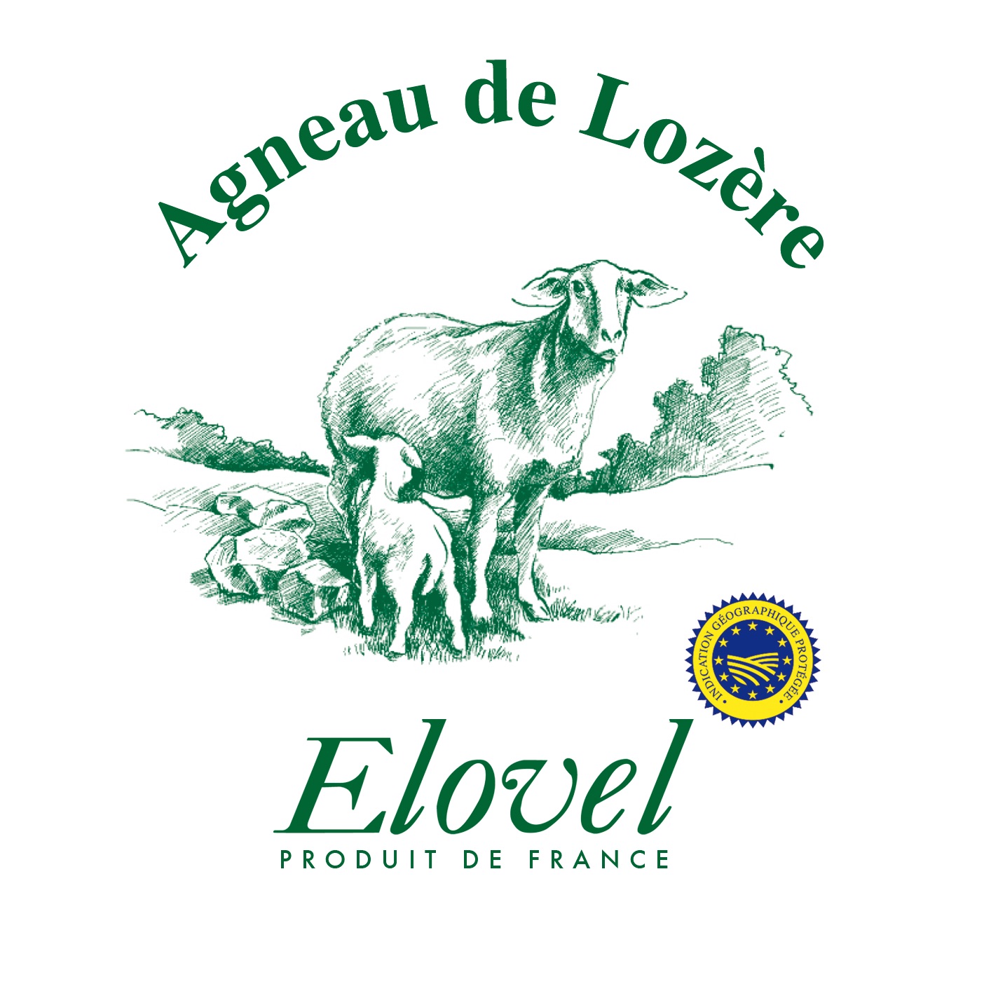 Logo elovel