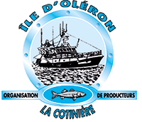 logo organisation des producteurs de la cotiniere