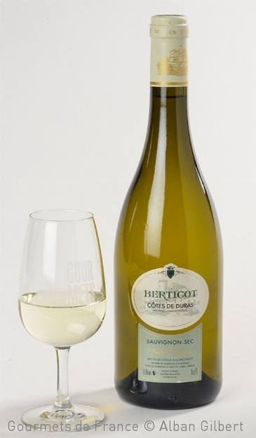 photo de la bouteille de blanc de berticot vieilles vignes