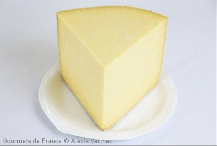 photo du fromage cantal aop