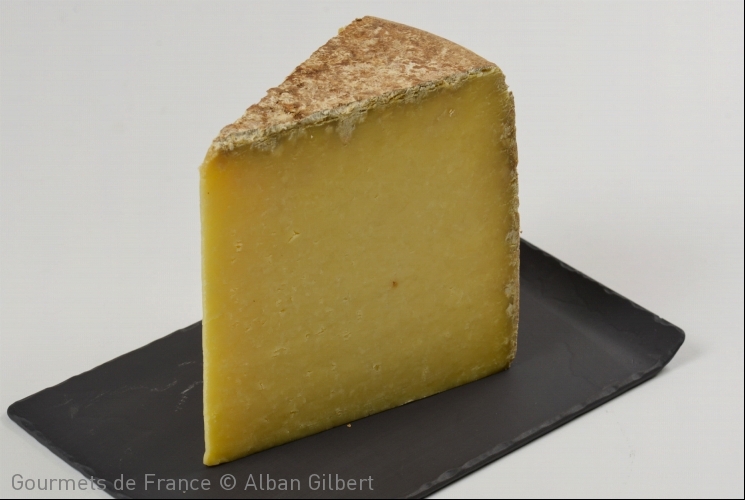 photo du fromage de laguiole aop