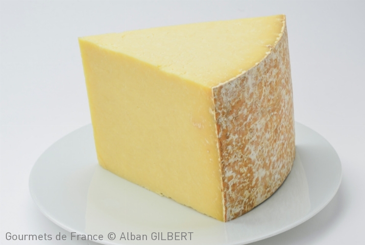 Fromage Salers