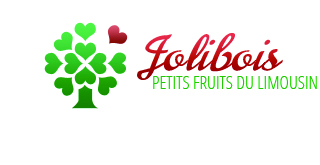 Logo Selection Fruit
