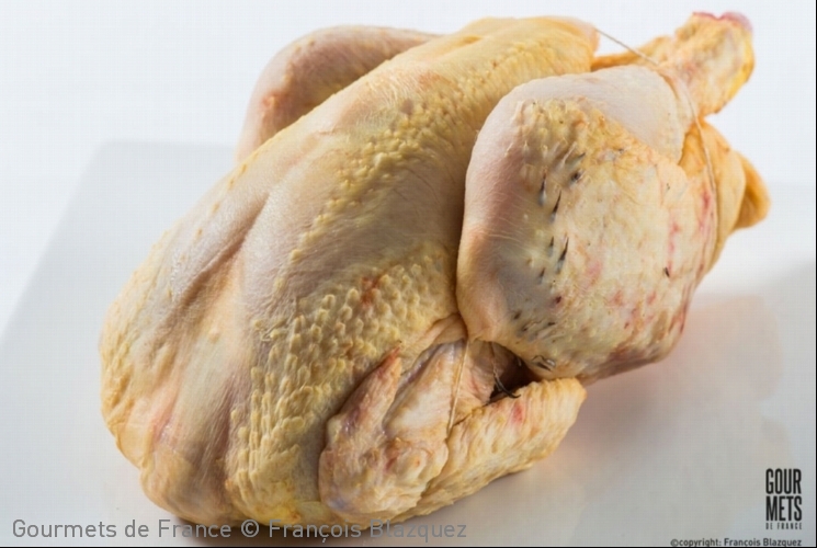 photo du poulet jaune fermier de la marque st sever